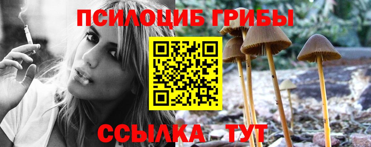 Заводоуковск  Псилоцибиновые грибы Psilocybine cubensis  Вход с VPN 