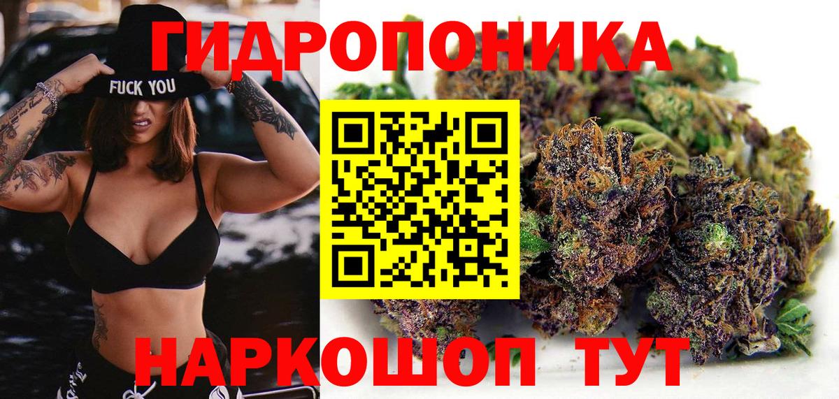 Каннабис LSD WEED  Бошки Шишки OG Kush  Шишки марихуана семена  Заводоуковск  Вход с VPN 